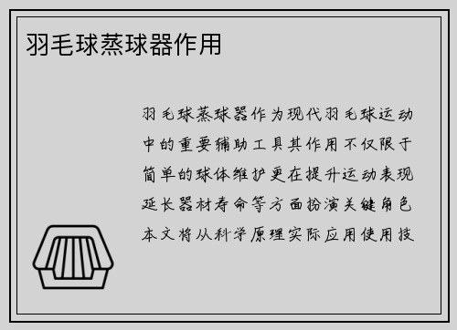羽毛球蒸球器作用